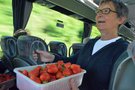vignette Sur la route: les fraises