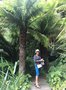 vignette La SHBL visite le Jardin du Kestellic  Plouguiel - Dicksonia antarctica = Balantium antarcticum - Fougre arborescente