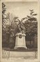 vignette Carte postale ancienne - Brest, monument des soldats bretons morts pour la patrie (Araucaria araucana et Trachycarpus fortunei)