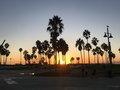 vignette Venice Beach