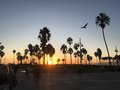 vignette Venice Beach