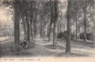 vignette Carte postale ancienne - Brest, le bois de Boulogne