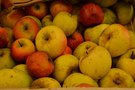 vignette SHBL : Assemble Gnrale  Plabennec - distribution de pommes