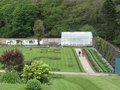 vignette Irlande (The victorian Walled Garden Co Galway)