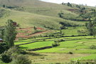 vignette Madagascar paysage