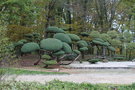 vignette Juniperus x media 'Hetzii'