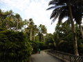 vignette Jardin botanique de Singapour