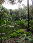 vignette Jardin botanique de Singapour