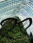 vignette Gardens by the bay, Cloud Forest -