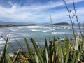 vignette West Coast - Cape Foulwind