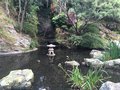 vignette Wellington, Jardin botanique