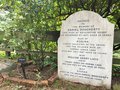 vignette Welllington, Bolton Street Memorial Park ou Bolton Street Cemetery, vieux cimetire botanique