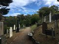 vignette Welllington, Bolton Street Memorial Park ou Bolton Street Cemetery, vieux cimetire botanique