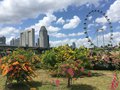 vignette Gardens by the Bay