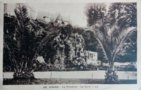 vignette Carte postale ancienne - Dinard - la palmeraie, la serre