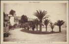 vignette Carte postale ancienne - Dinard, vue de la palmeraie, promenade au clair de lune
