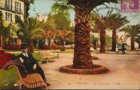 vignette Carte postale ancienne - Dinard, vue de la palmeraie, promenade au clair de lune
