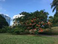 vignette Singapour - Fort Canning Park