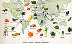 vignette Origine géographique des légumes