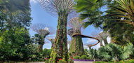 vignette Gardens by the bay,