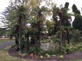vignette Rotorua, Jardins du gouvernement