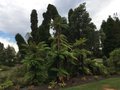 vignette Rotorua, Jardins du gouvernement