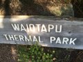 vignette Waiotapu = Wai-O-Tapu - Parc Thermal