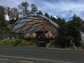 vignette Waitomo - Les grottes