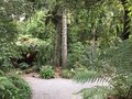 vignette Christchurch, Jardin botanique,
