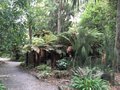vignette Christchurch, Jardin botanique