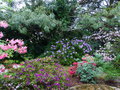 vignette Floraisons terrasse nord est du jardin au 21 04 20