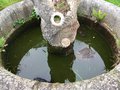 vignette Jardin Extraordinaire de Brest 2020 - 04 - Le bassin