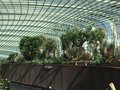 vignette Gardens by the Bay, Flower Dome -