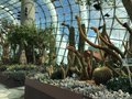 vignette Gardens by the Bay, Flower Dome -