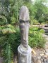 vignette Jardin botanique de Stellenbosch - 'Astromer's head' Anton Smith