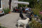 vignette La SHBL visite un potager en permaculture et dcouvre la vannerie de A  Z  Plougourvest