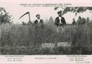 vignette Carte postale ancienne - Kermestre en Baud (Morbihan), essais sulfate d'ammoniaque sur l'avoine