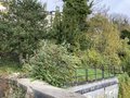 vignette Jardin Extraordinaire de Brest 2020 - 10