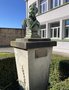 vignette Buste de Jules Crevaux au jardin de l'Hopital de la Marine