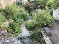 vignette Village jardin remarquable de Chdigny
