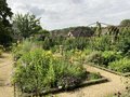 vignette Jardin du Presbytre dans le Village jardin remarquable de Chdigny