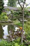 vignette Jardin japonais
