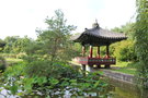 vignette Jardin coren