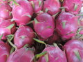 vignette Hylocereus  sp (Pitaya fruit du dragon)