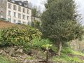 vignette Jardin Extraordinaire de Brest 2021 - 03