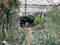 vignette Jardin des plantes de Lille - la serre tropicale
