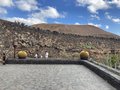 vignette Jardin de Cactus  Lanzarote