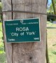 vignette Jardin botanique de Tourcoing, Rosa 'City of York'