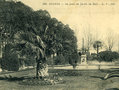 vignette Carte postale ancienne - Angers, jardin des plantes