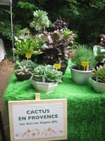 vignette Cactus en Provence - Les Arcs-sur-Argens